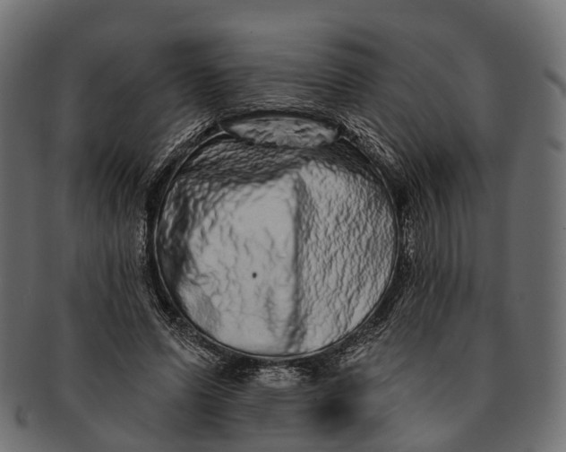 X0000091560591200709071129