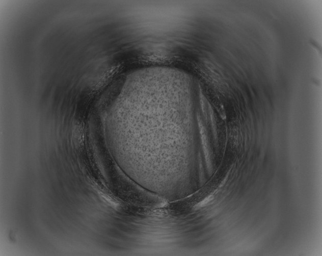 X0000091560593200709071129