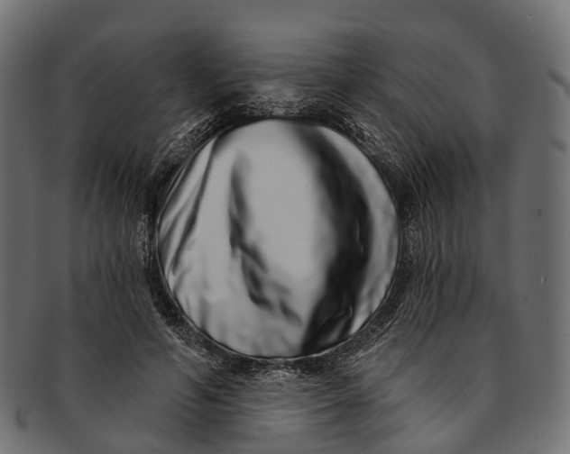 X0000091560594200709071129