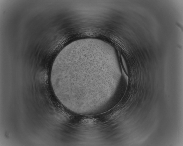 X0000091560595200709071129