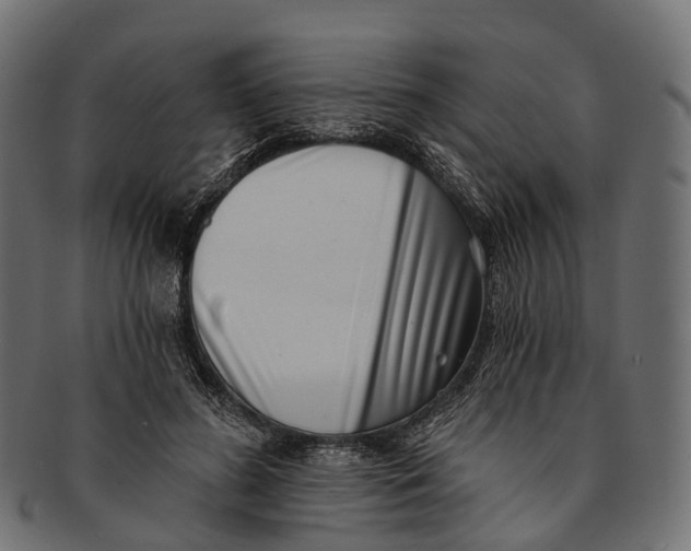 X0000091560596200709071129