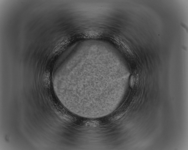 X0000091560599200709071129