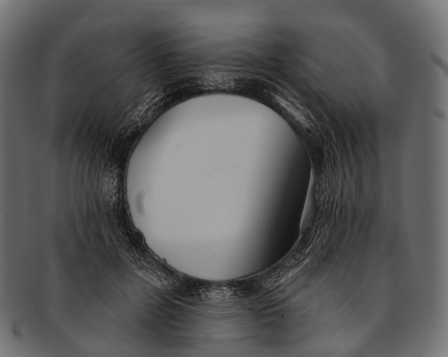 X0000091560600200709071129