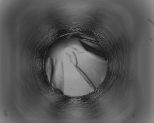 X0000091560606200709071128