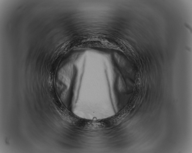 X0000091560607200709071128