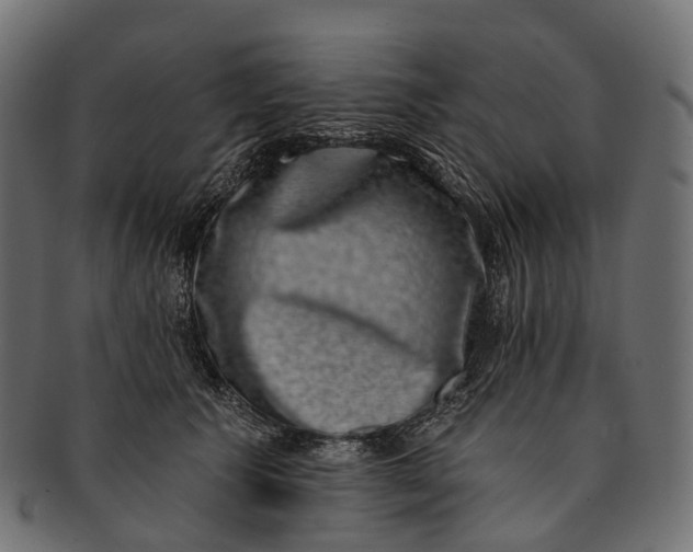 X0000091560609200709071128