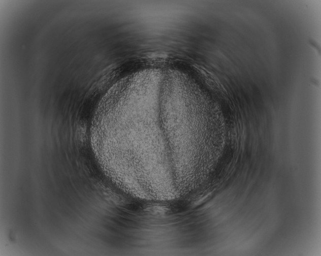 X0000091560610200709071128