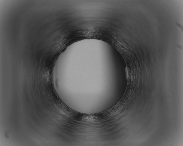 X0000091560611200709071128