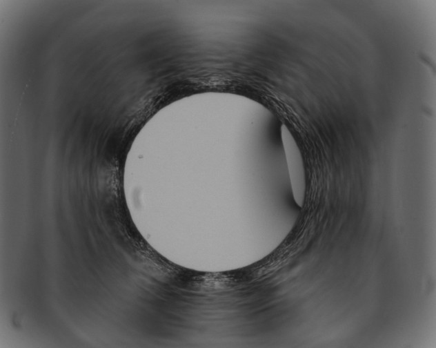 X0000091560612200709071128