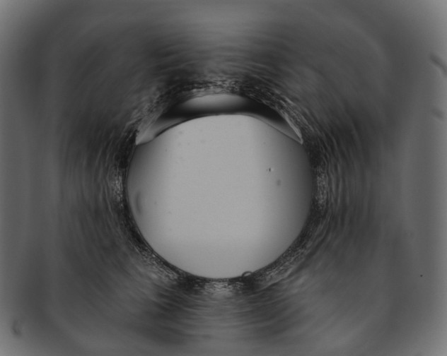 X0000091560613200709071128