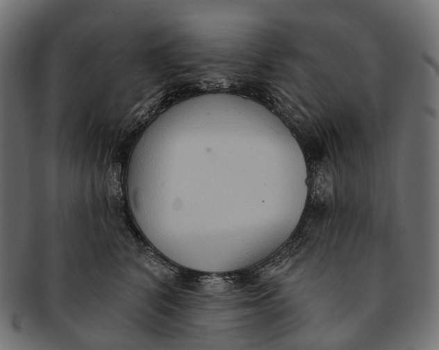 X0000091560616200709071128