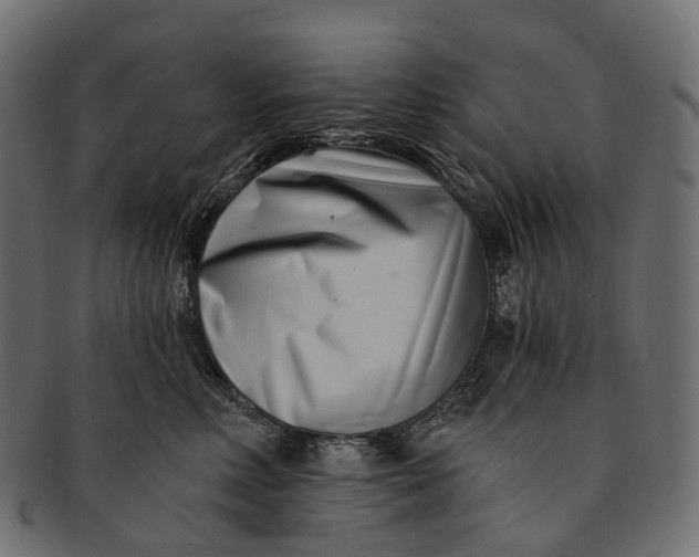 X0000091560618200709071128