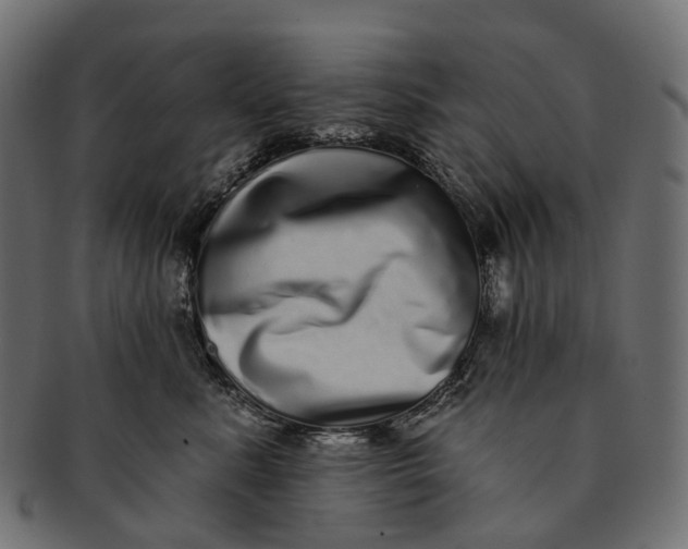 X0000091560619200709071128