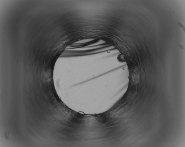 X0000091560620200709071128