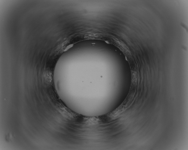 X0000091560621200709071128