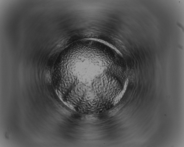 X0000091560622200709071128