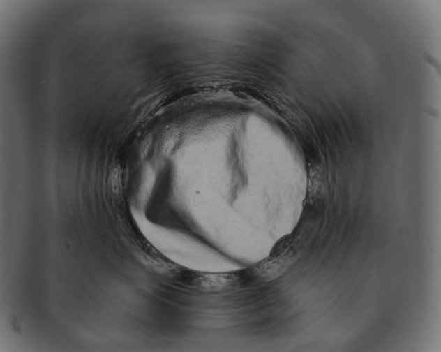 X0000091560623200709071128