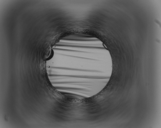 X0000091560624200709071128