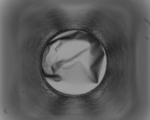 X0000091560625200709071127