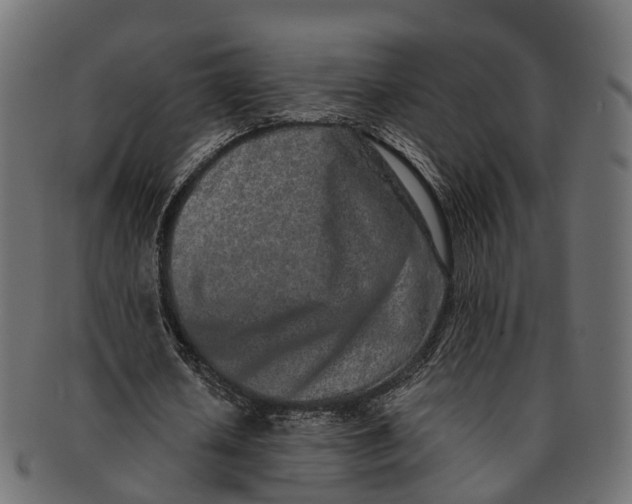 X0000091560626200709071127