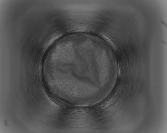 X0000091560627200709071127