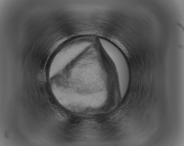 X0000091560628200709071127