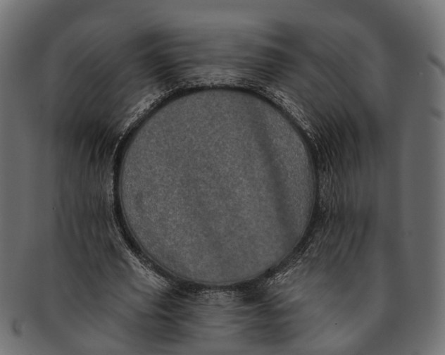 X0000091560629200709071127