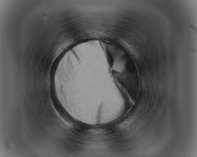 X0000091560630200709071127