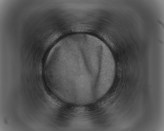 X0000091560631200709071127