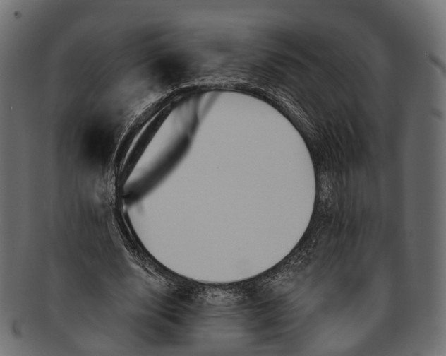 X0000091560632200709071127