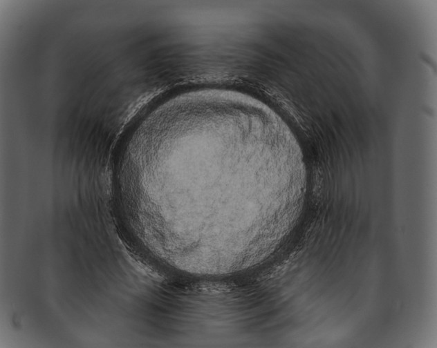 X0000091560636200709071128