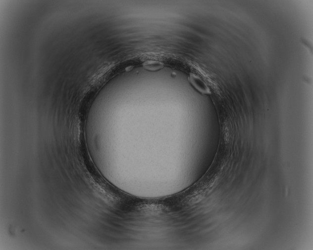 X0000091560637200709071128