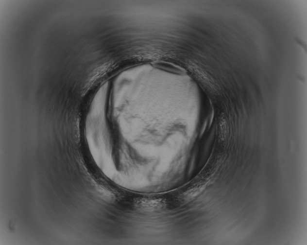 X0000091560638200709071128