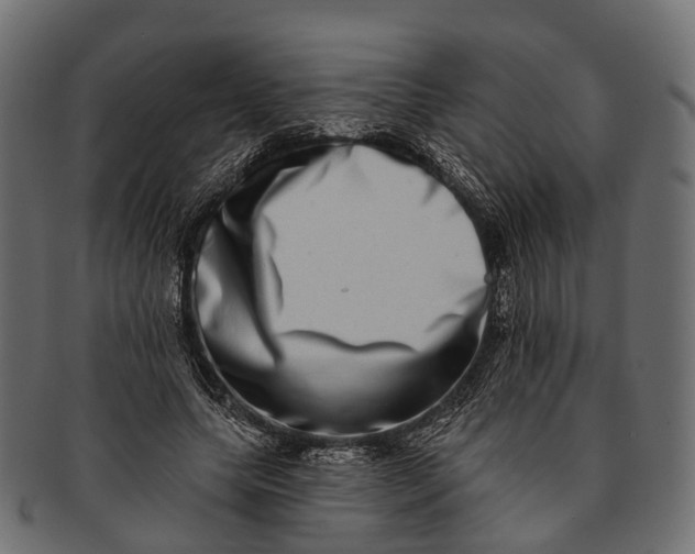 X0000091560639200709071128