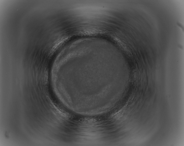 X0000091560640200709071128