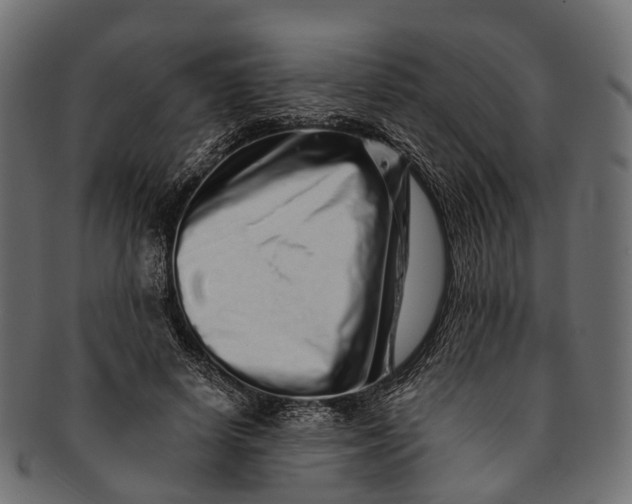 X0000091560642200709071128