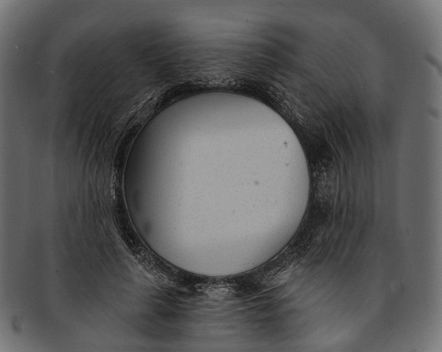 X0000091560643200709071128