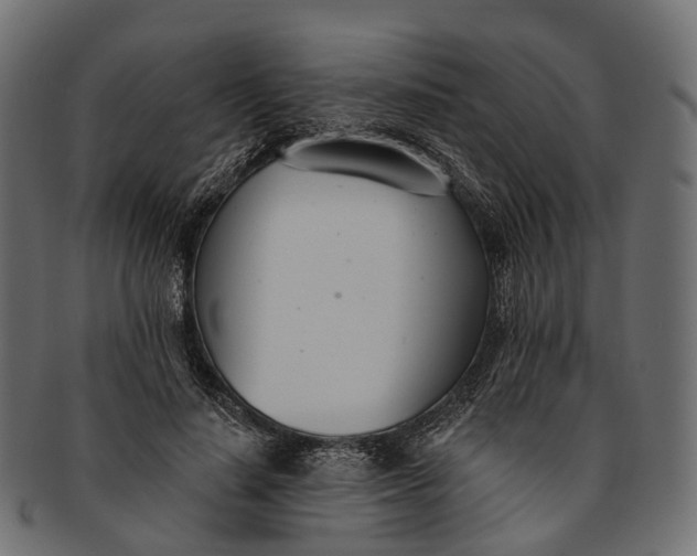 X0000091560644200709071128