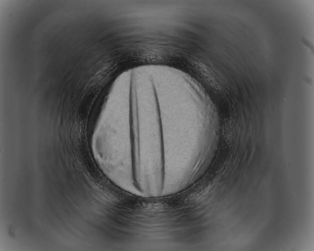 X0000091560645200709071128