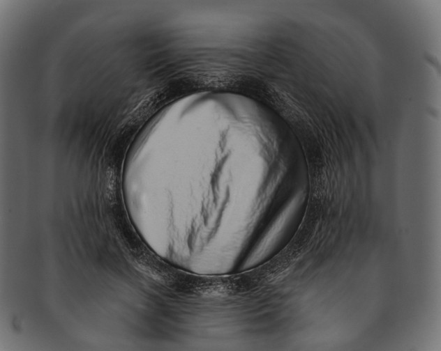 X0000091560646200709071128