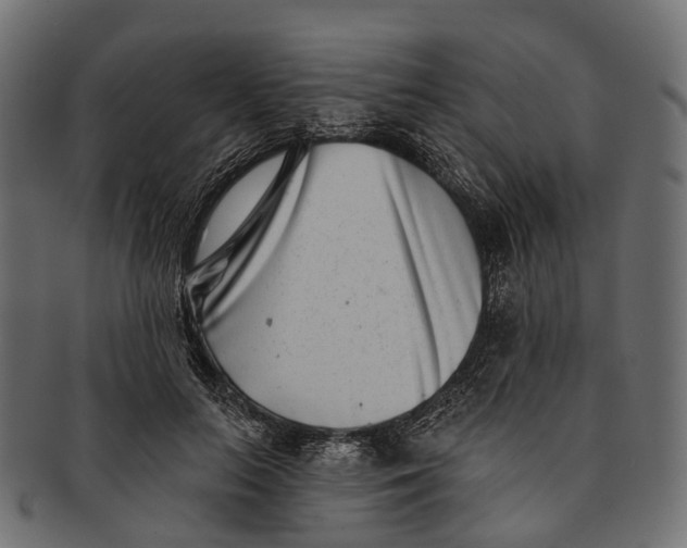 X0000091560647200709071128