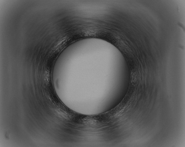 X0000091560648200709071128