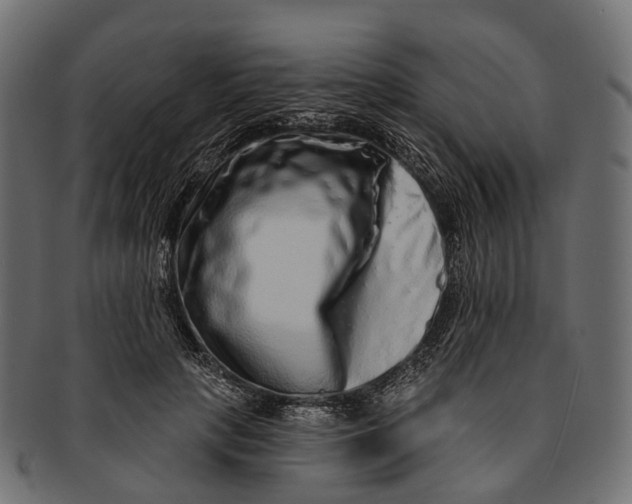 X0000091560649200709071128