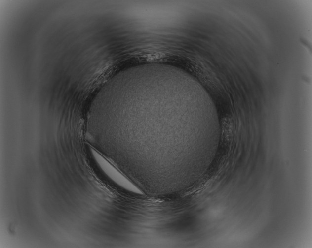 X0000091560650200709071128