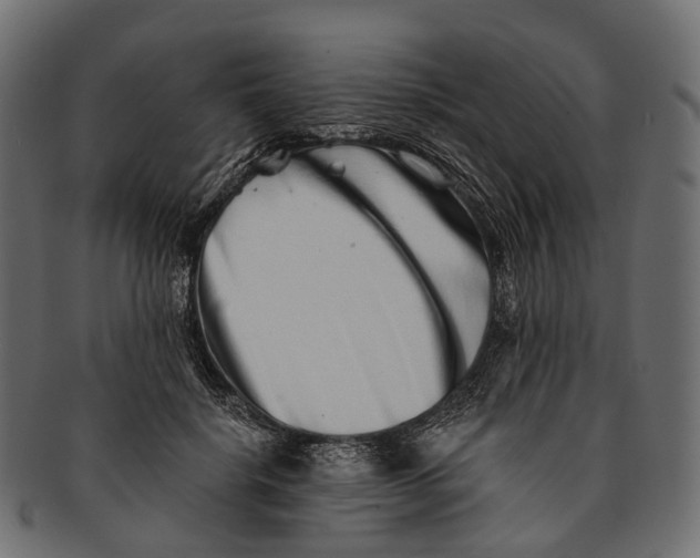 X0000091560652200709071128