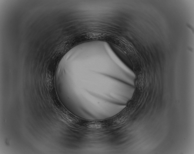 X0000091560653200709071128