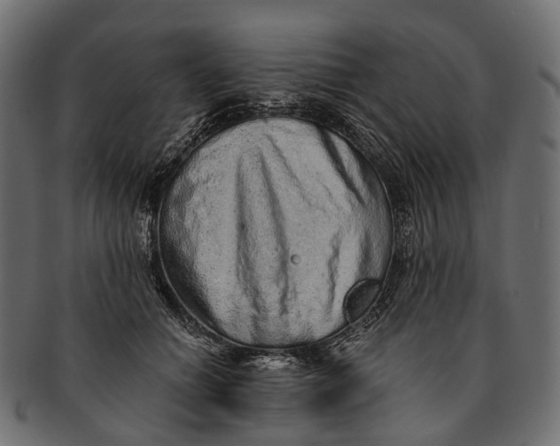 X0000091560654200709071128