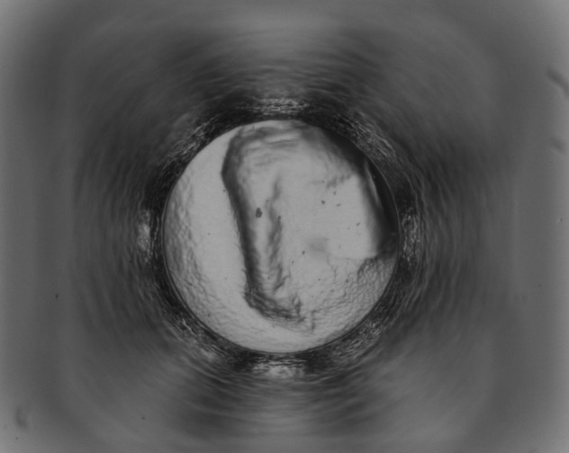 X0000091560655200709071128