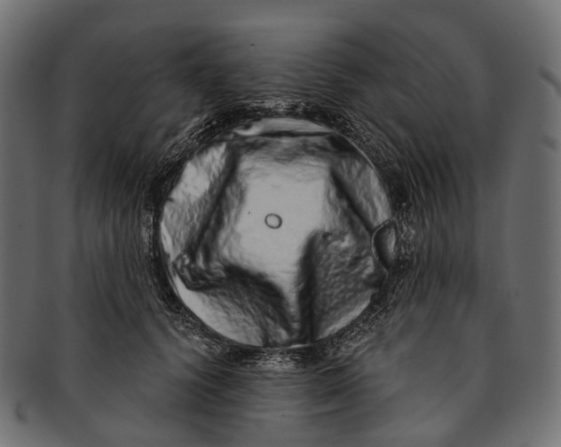 X0000091560656200709071128