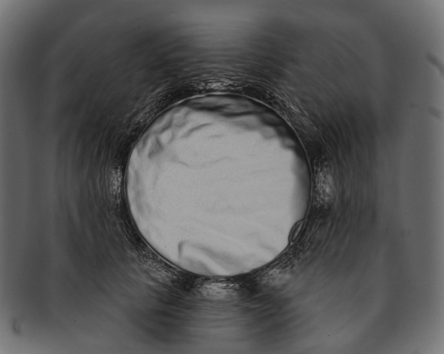 X0000091560657200709071128